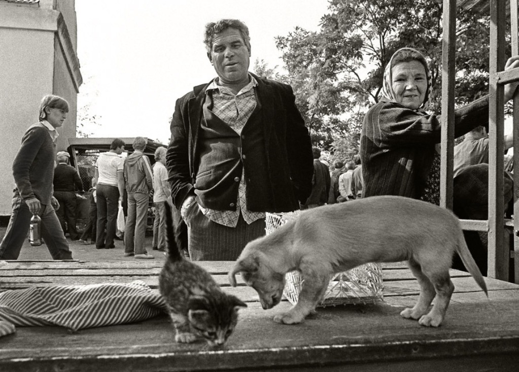 ���������