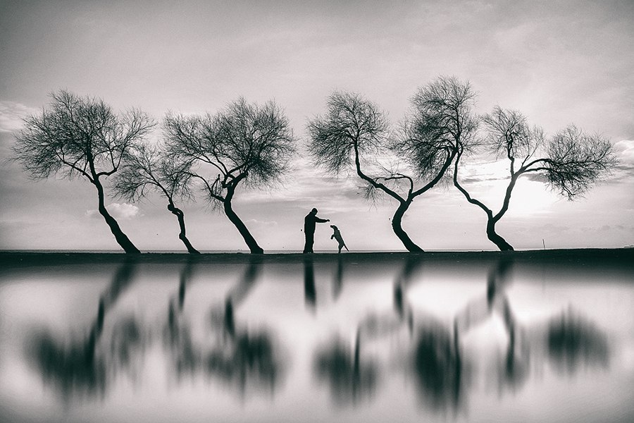 ���������