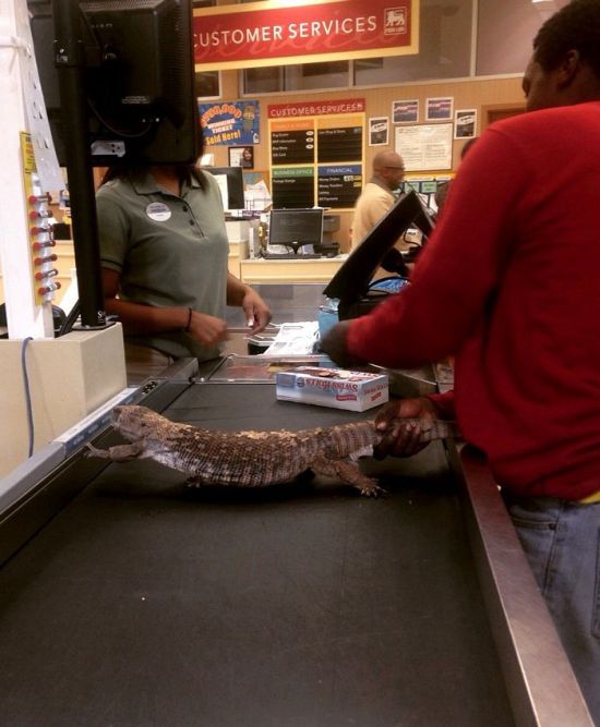 ���������