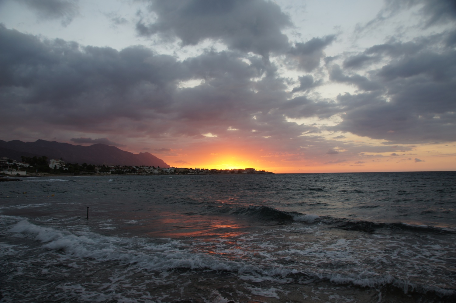 ���������