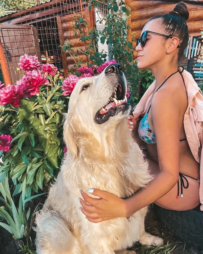 ���������