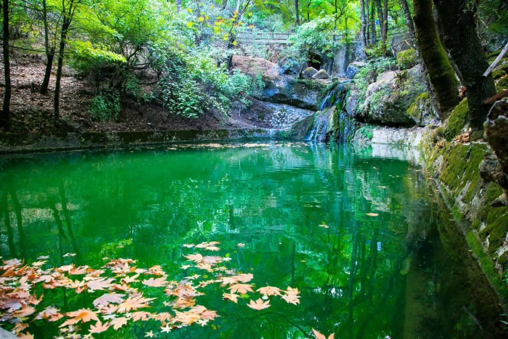 ���������