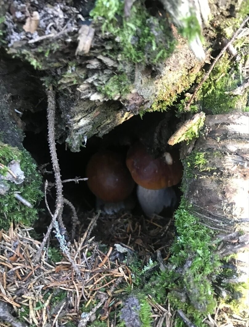 ���������