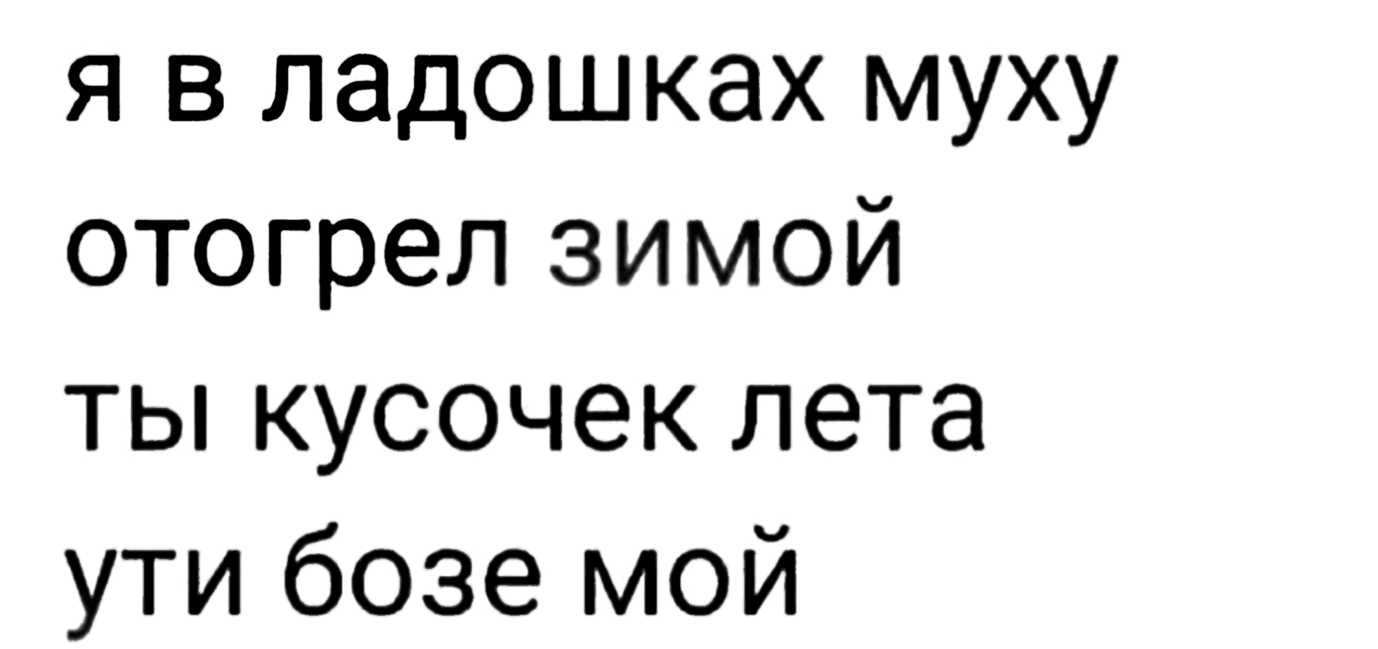 ���������