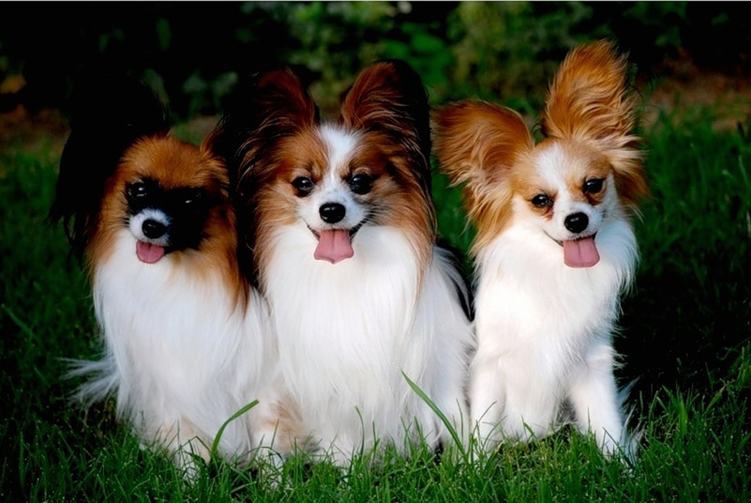 ���������