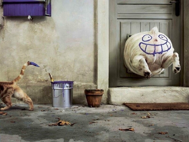 ���������