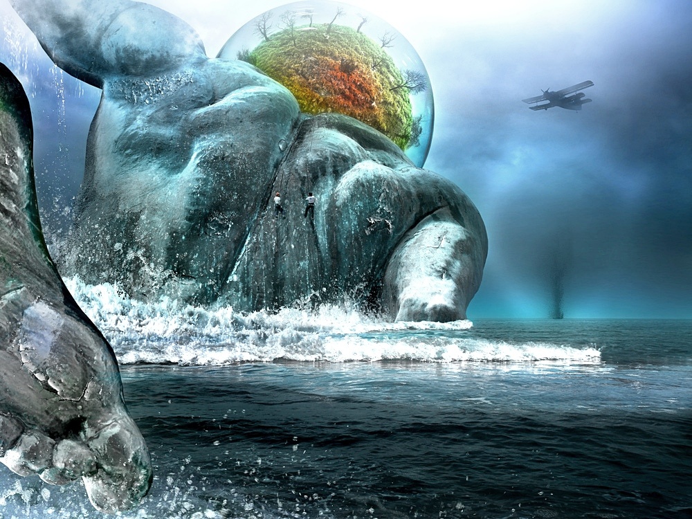 ���������