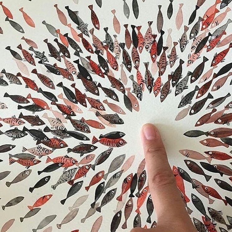 ���������