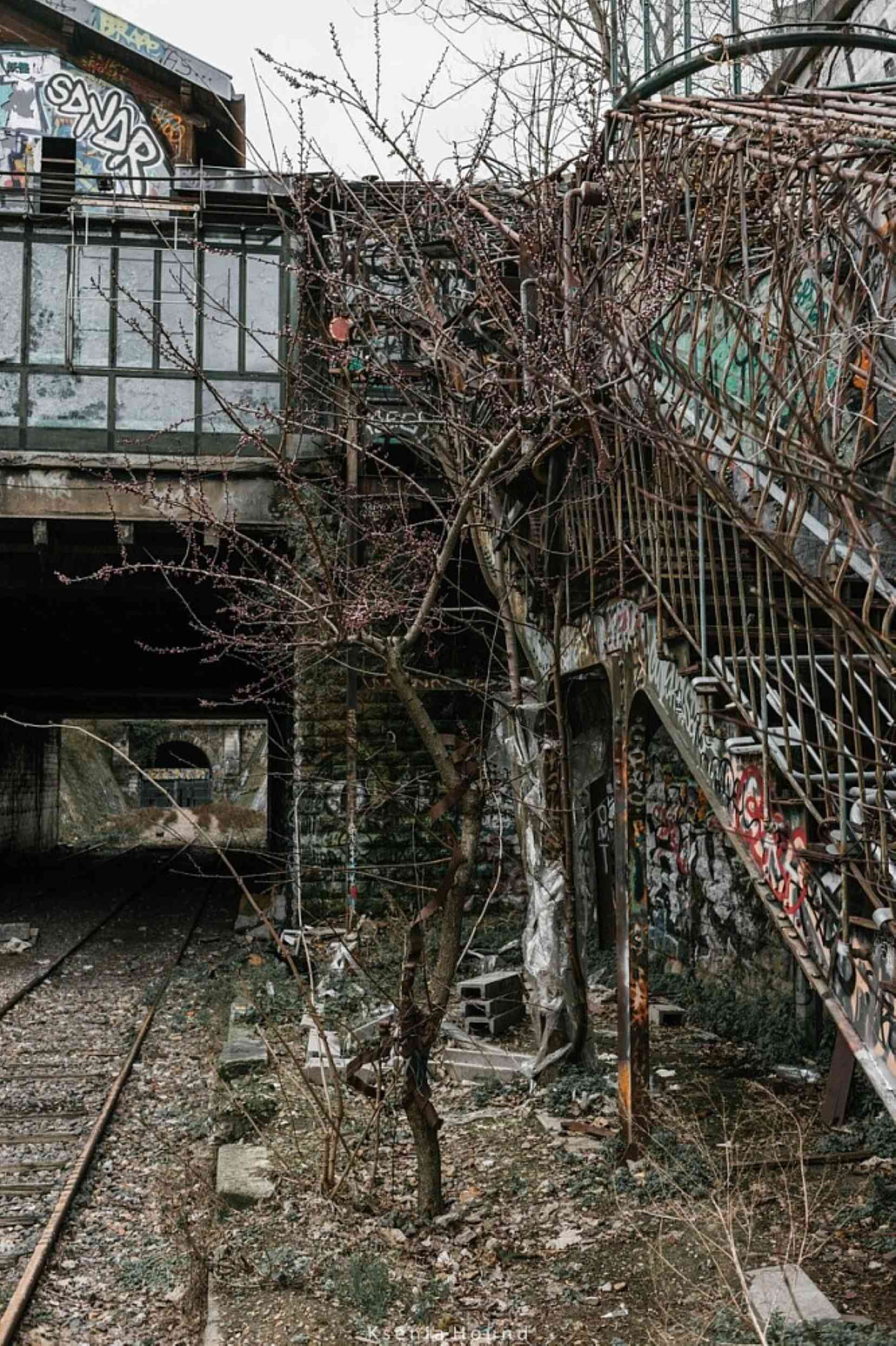 ���������