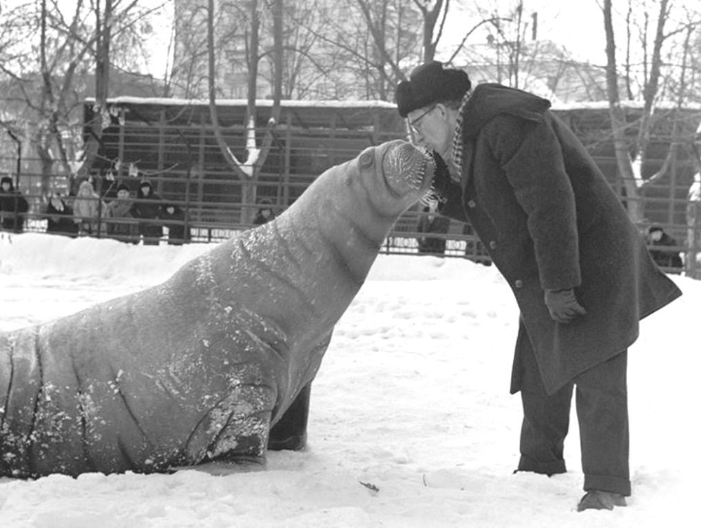 ���������