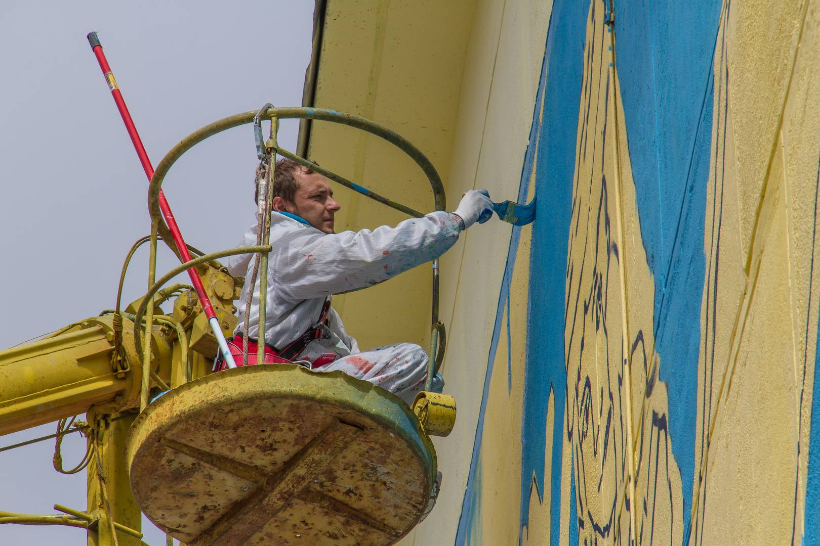 ���������