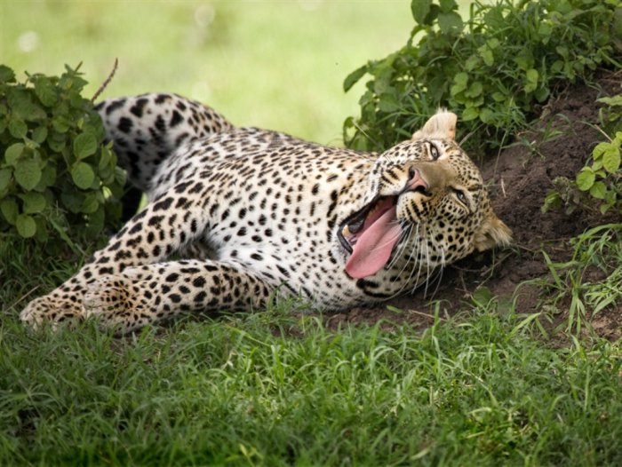 ���������