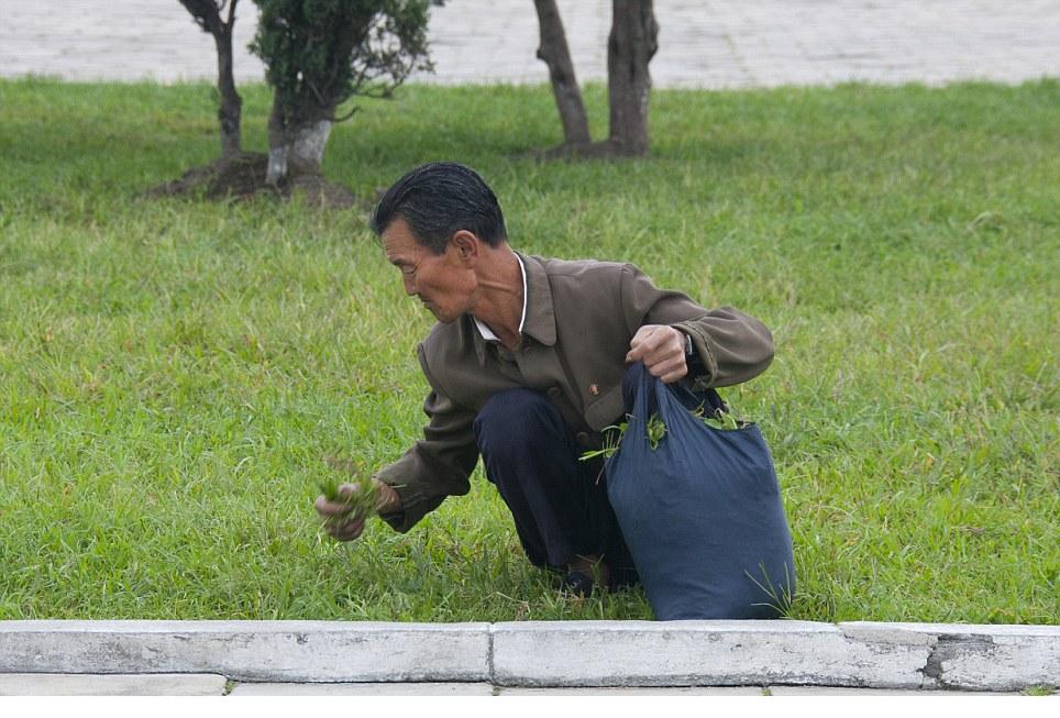 ���������