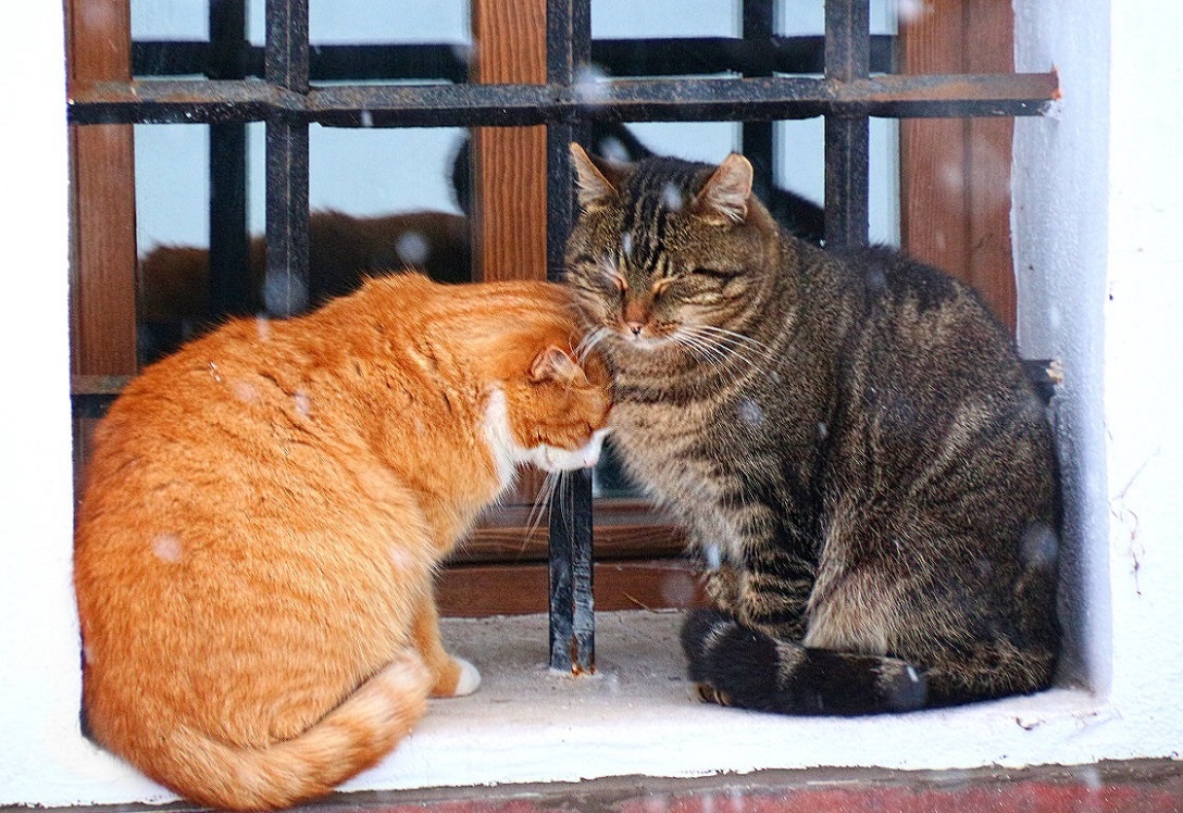 ���������