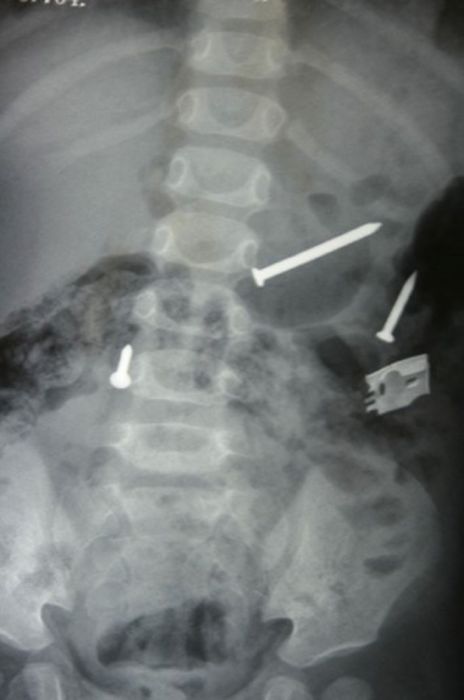 ���������