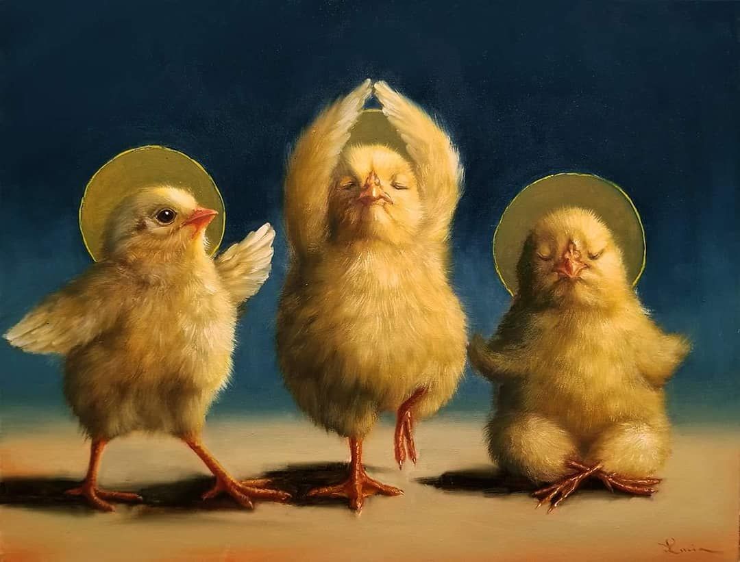 ���������