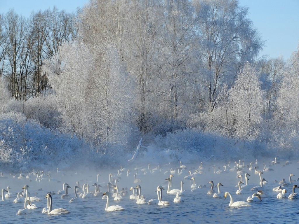 ���������