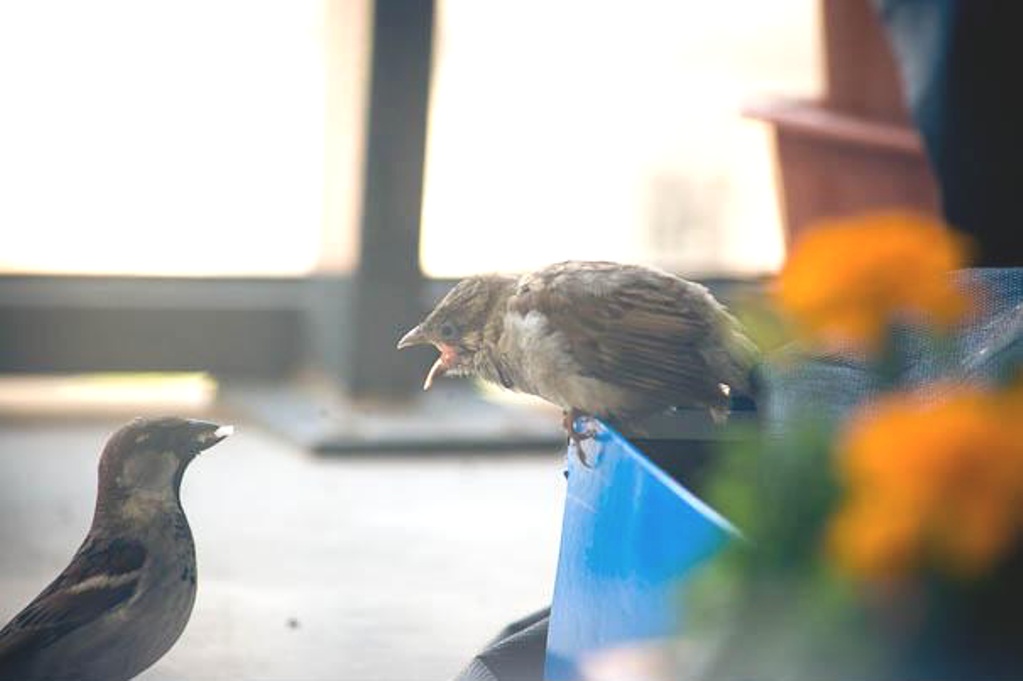 ���������