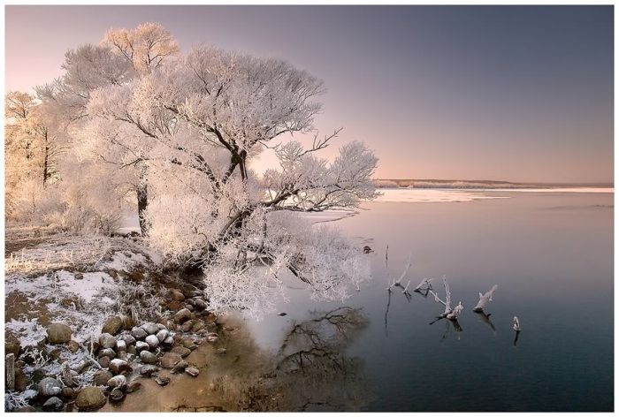 ���������