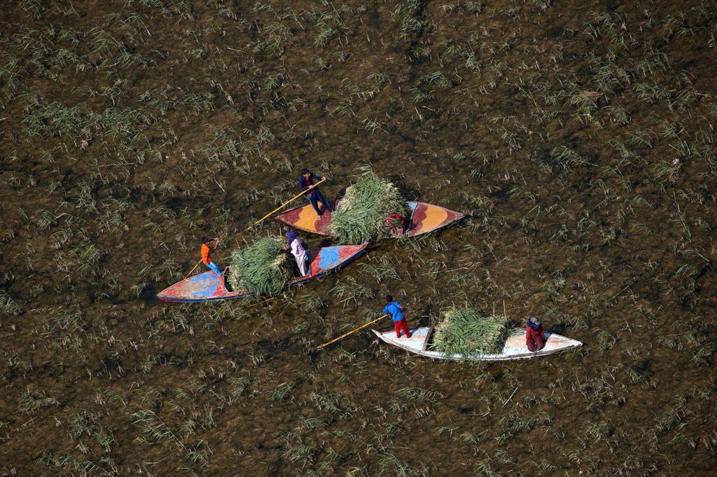 ���������