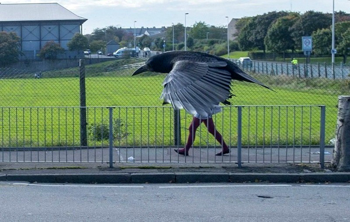 ���������