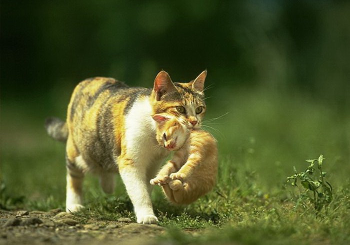 ���������