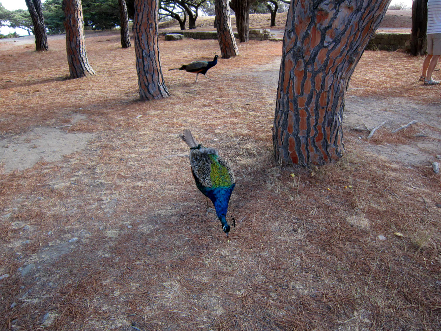 ���������