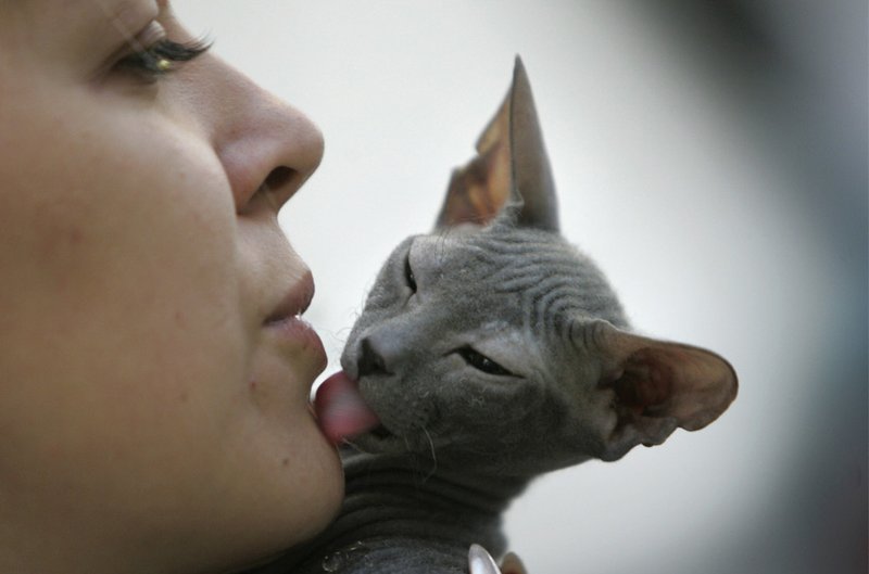 ���������