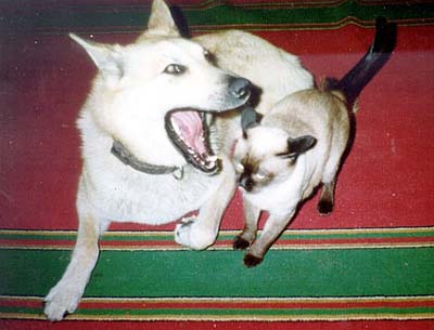 ���������