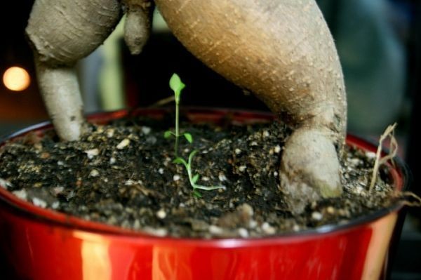 ���������