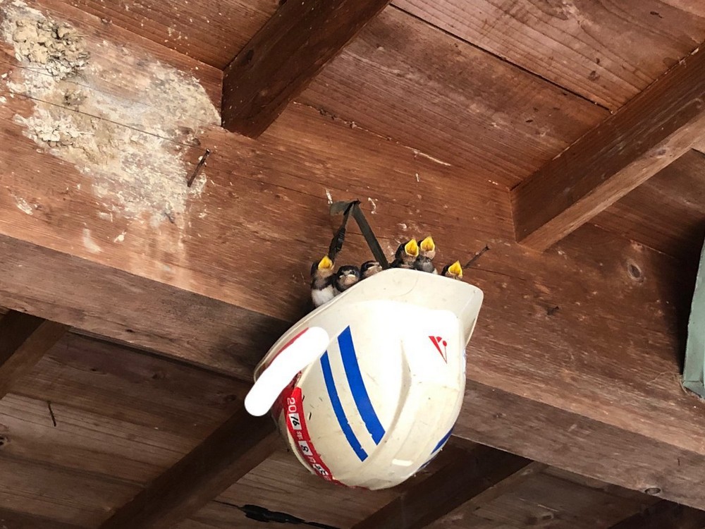 ���������