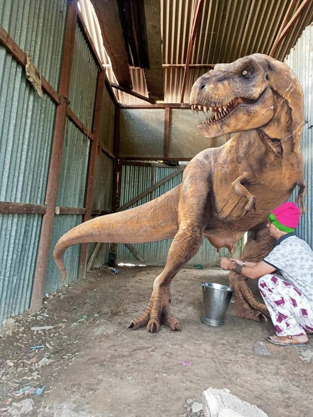 ���������