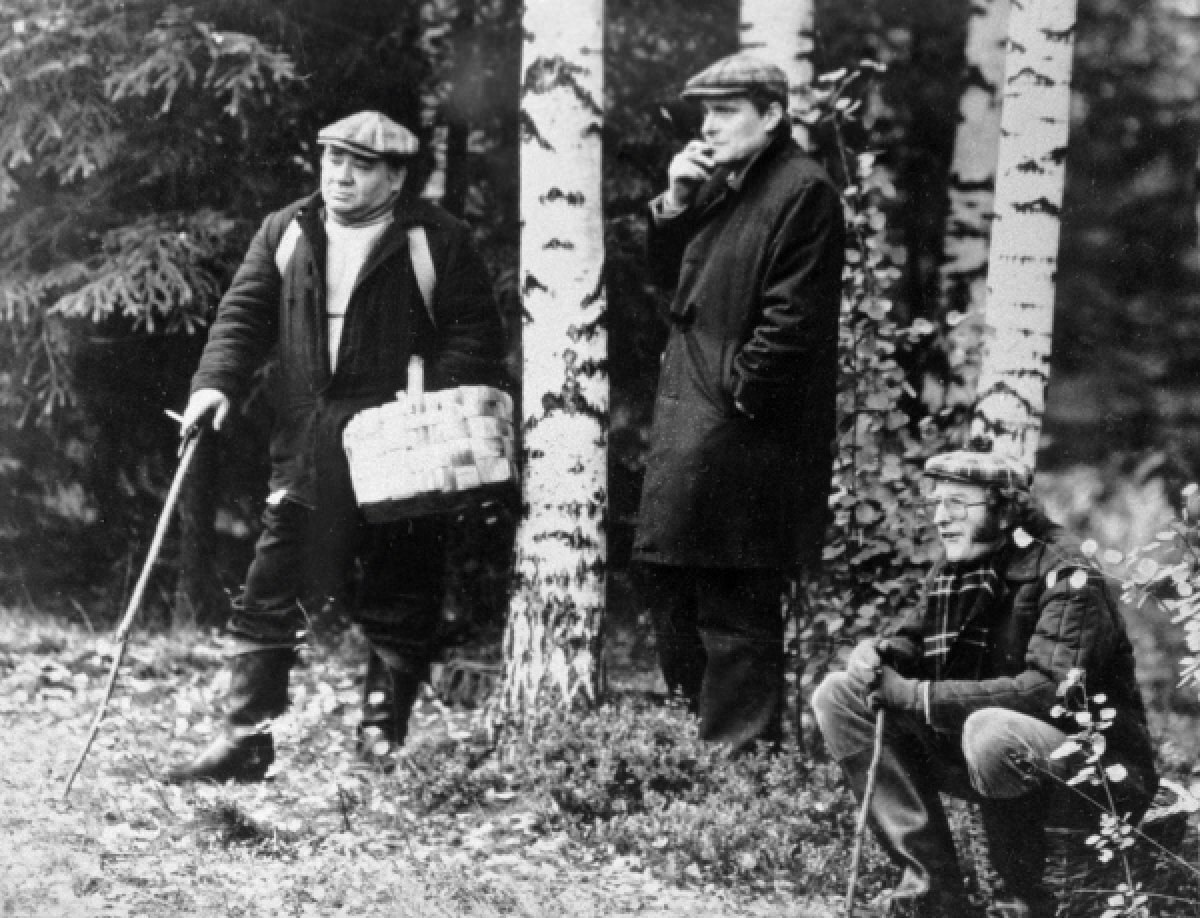 ���������