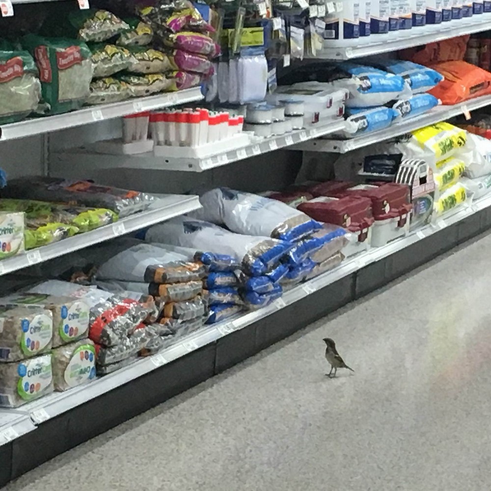 ���������