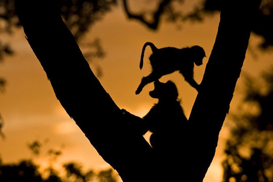 ���������