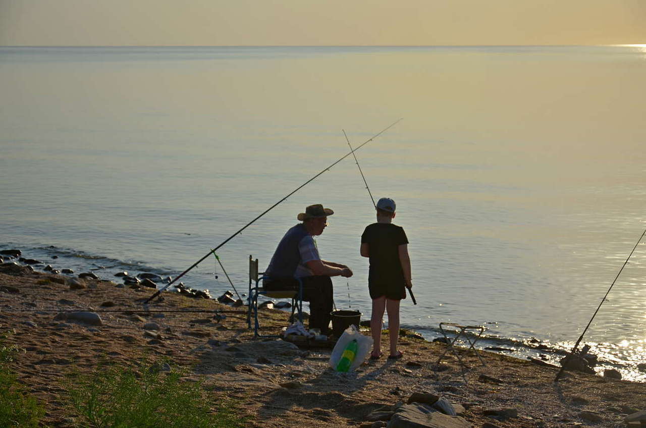 ���������