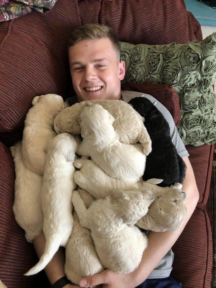 ���������