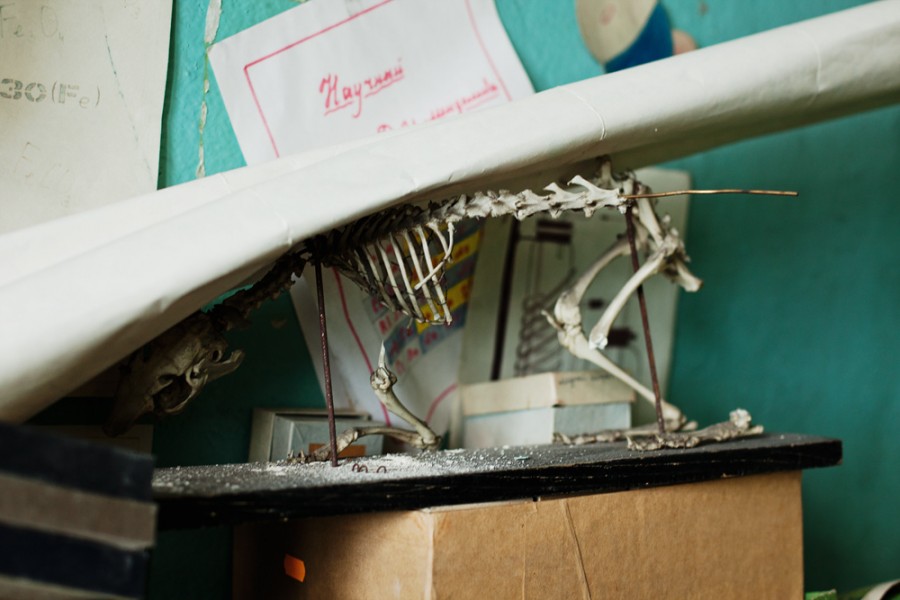 ���������