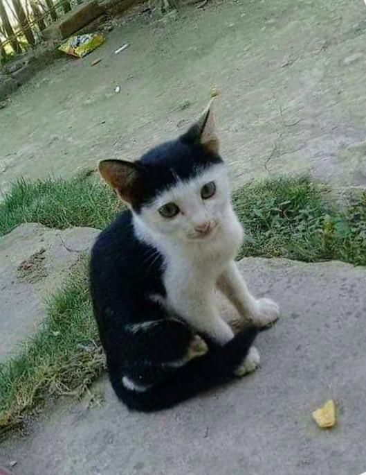 ���������