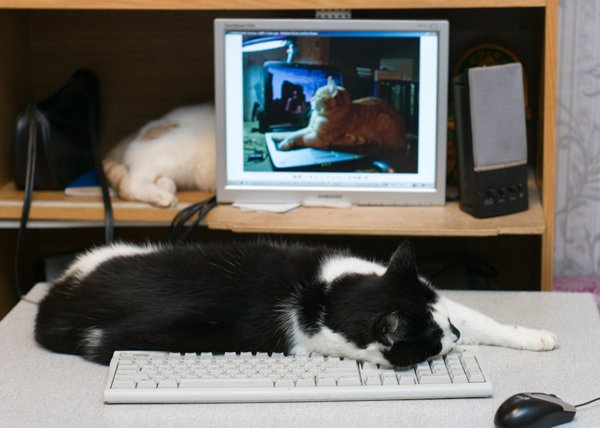 ���������