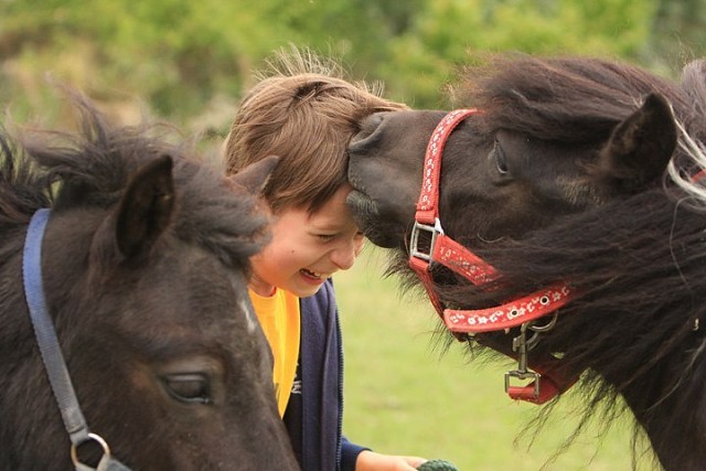 ���������