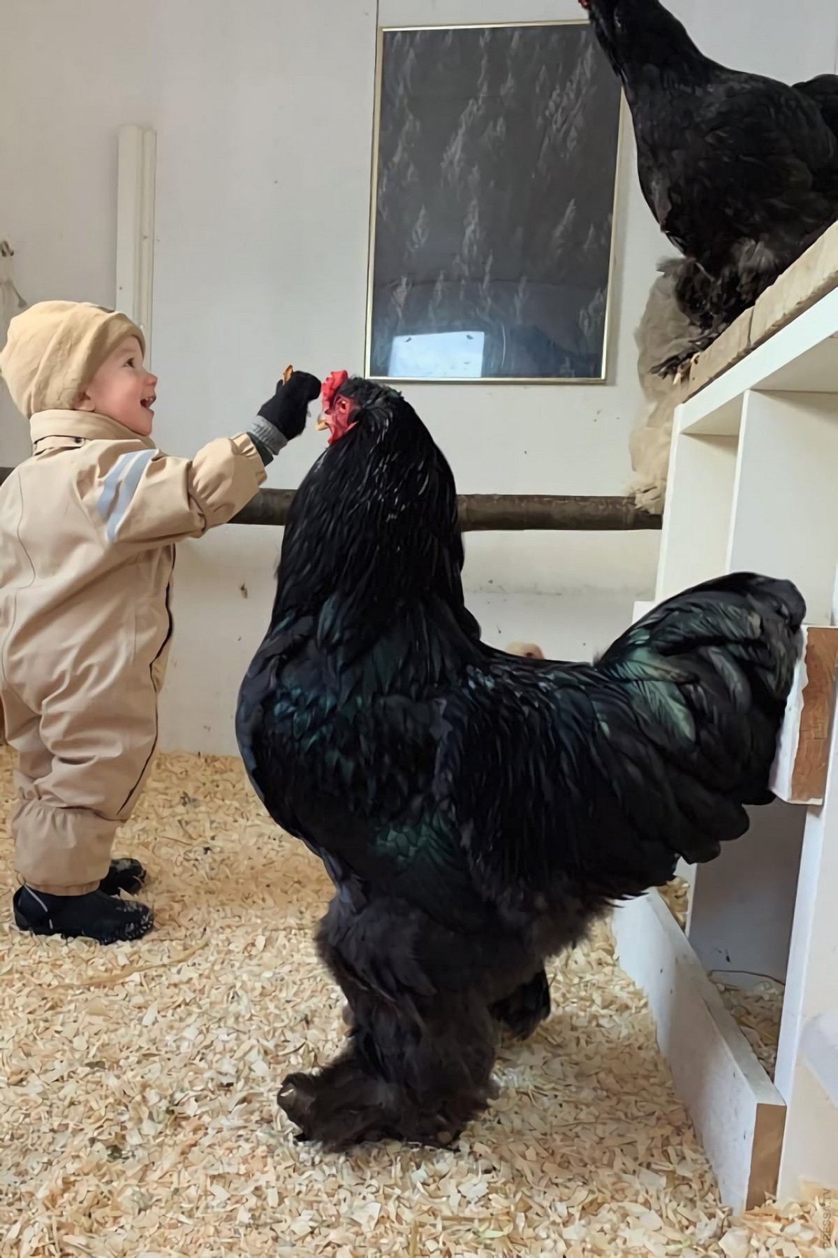 ���������