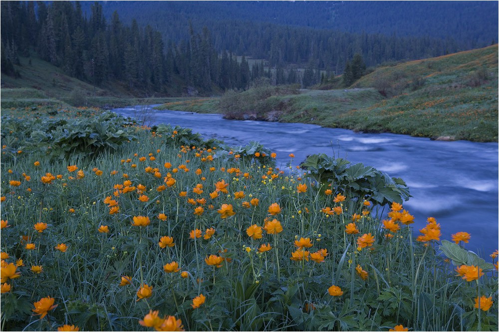 ���������