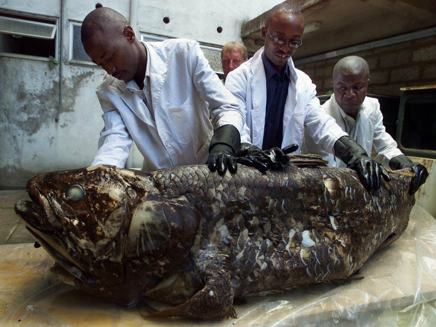 ���������