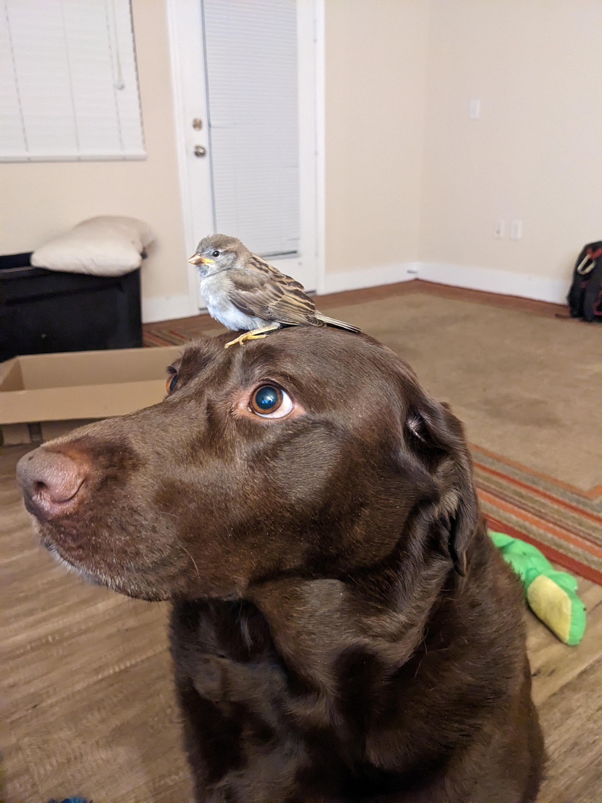 ���������