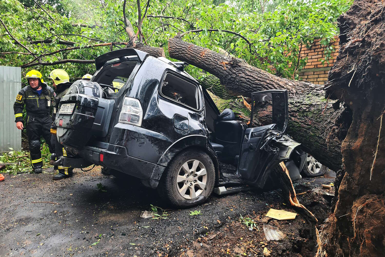 ���������