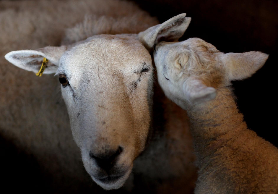 ���������