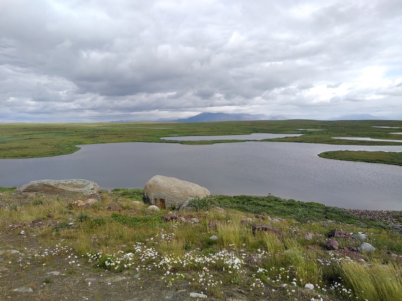 ���������