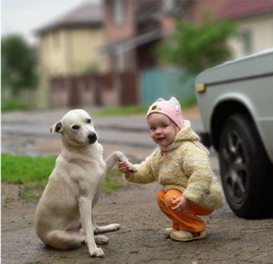 ���������