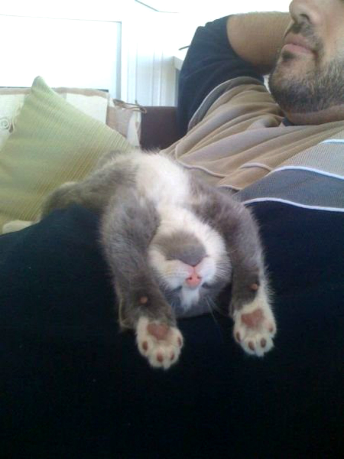 ���������